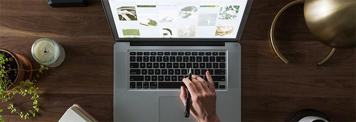 Newsgroup-Zugriff über den Webbrowser